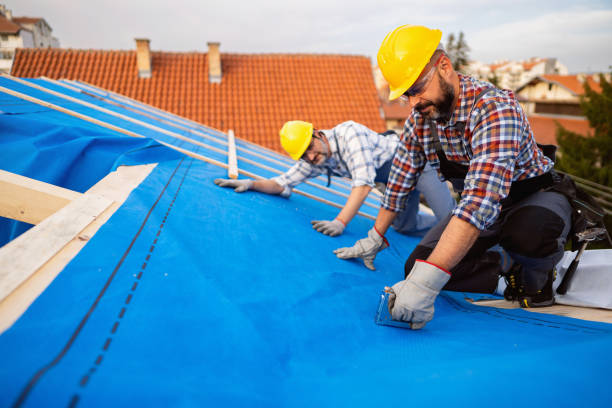Best Roof Maintenance Services  in Howard City, MI