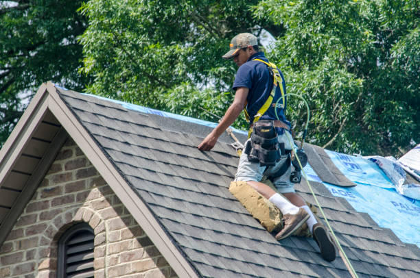 Best Roof Repair Specialists  in Howard City, MI